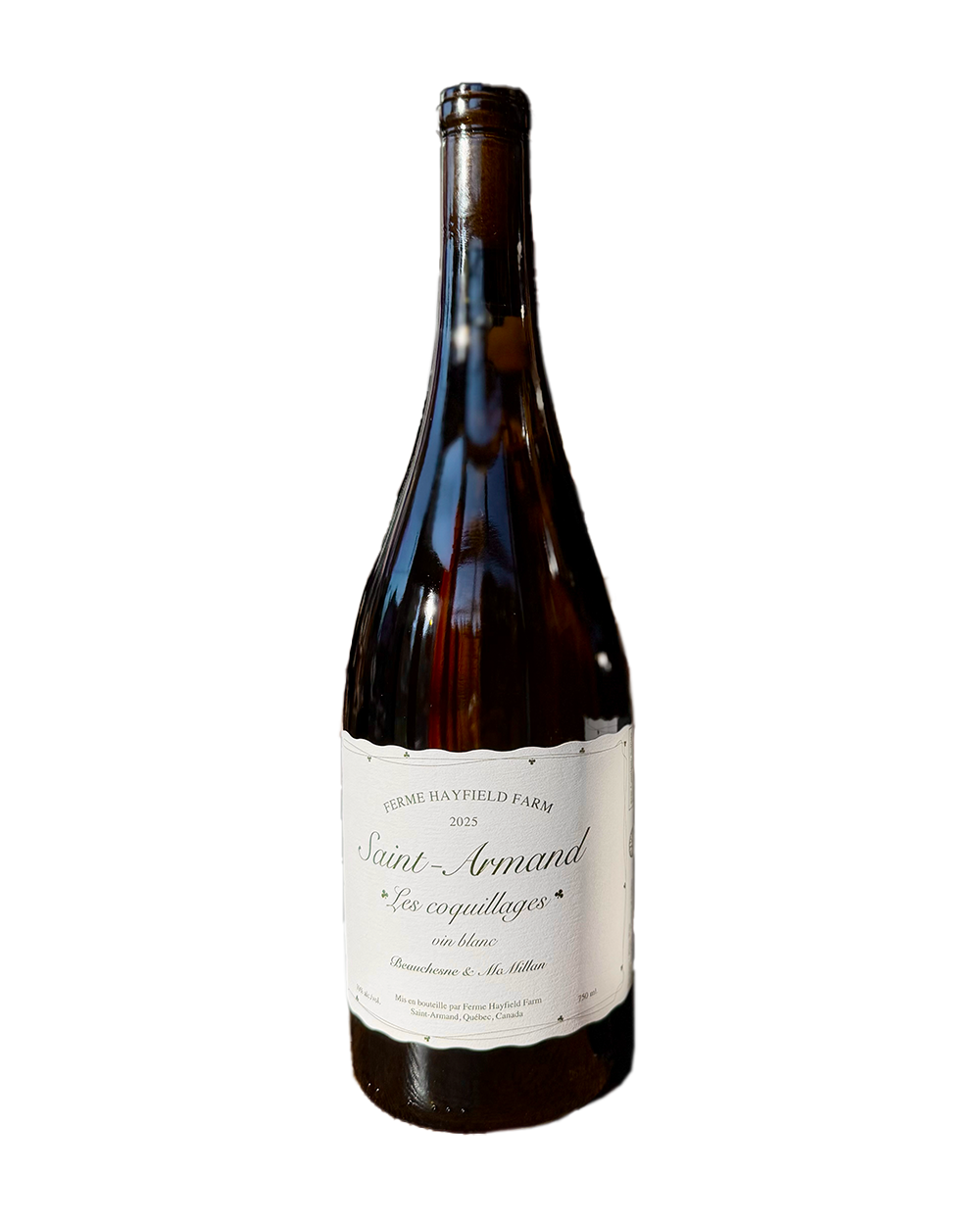 Les Coquillages 2025