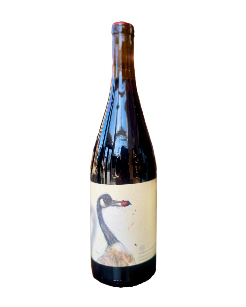 Pinot Madeleine 2024
