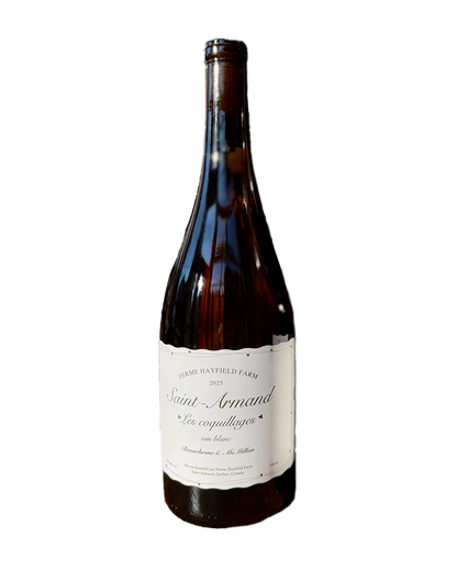 Les Coquillages 2025