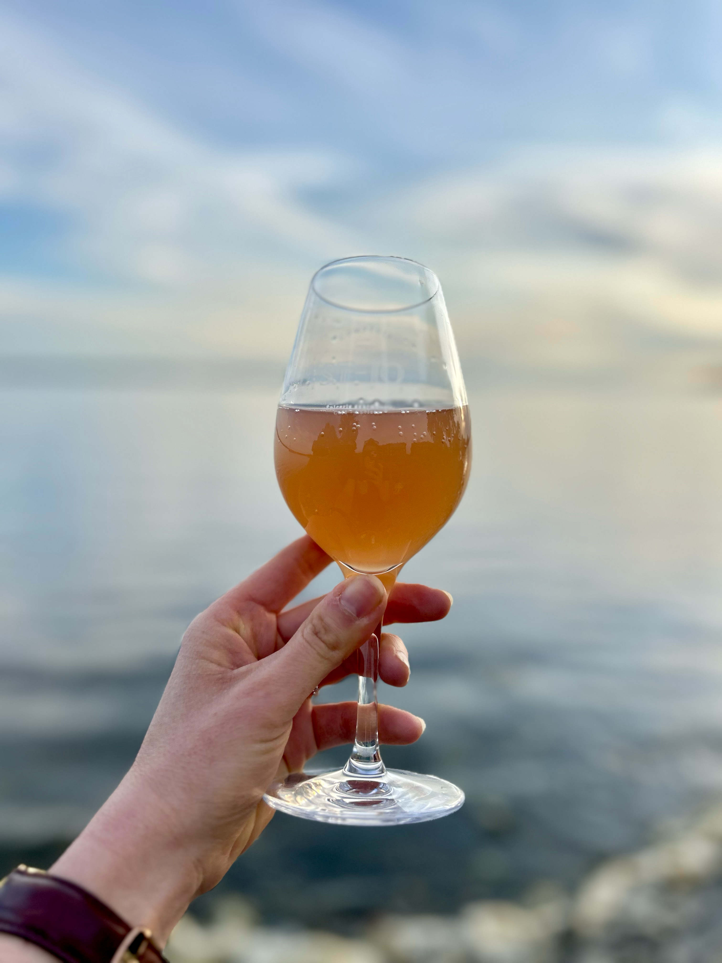 La Sirène du Canal 2024