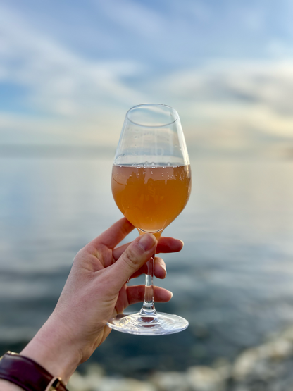 La Sirène du Canal 2024