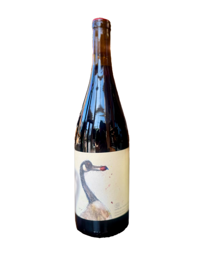Pinot Madeleine 2024