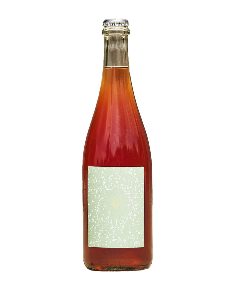 Saucette 2024