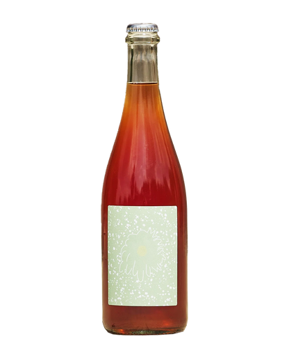 Saucette 2024
