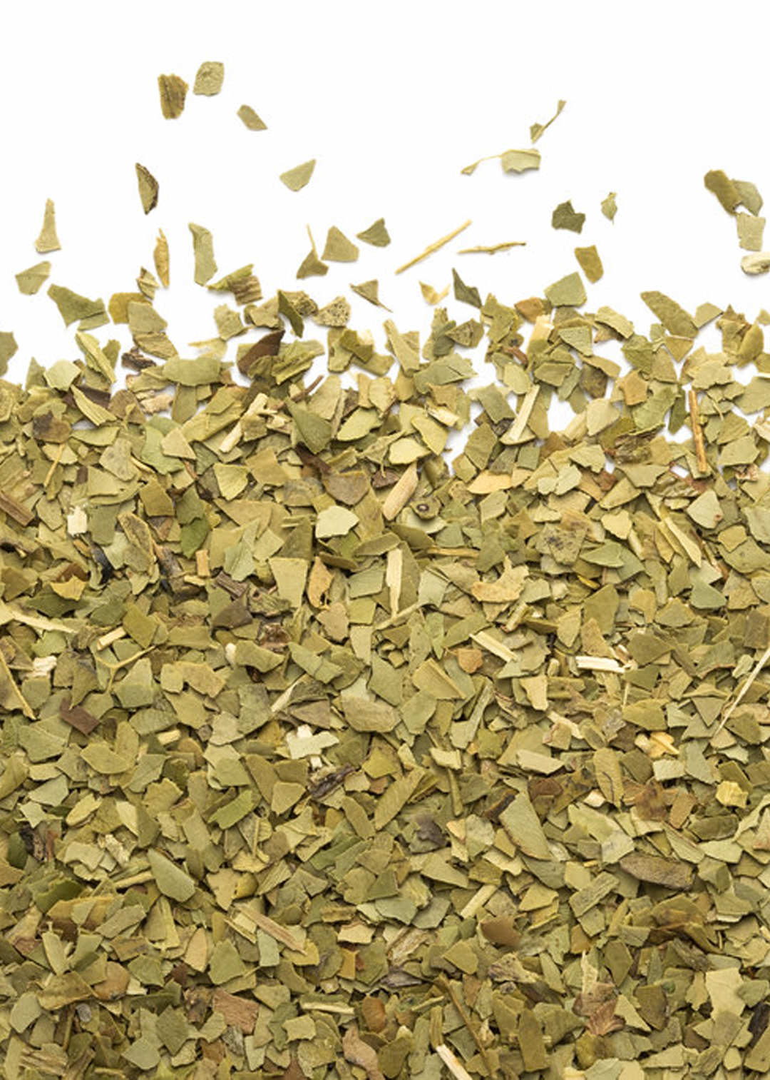 Yerba maté